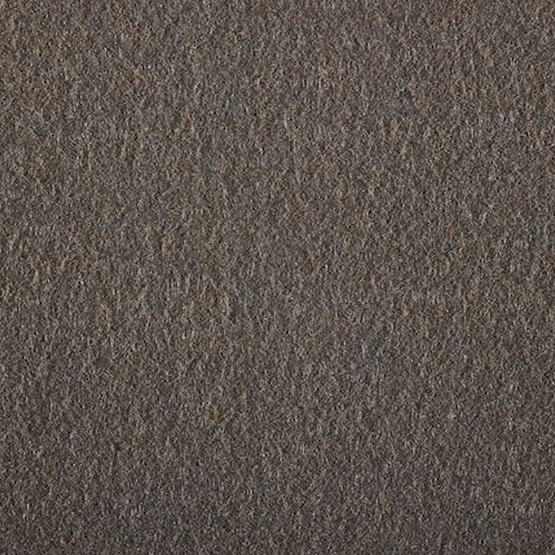 Carpet, Color Beige-Grey (#31)